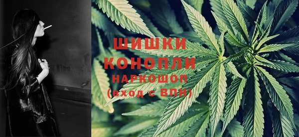 гидропоника Ельня
