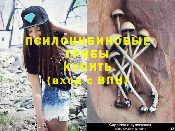 гидропоника Ельня
