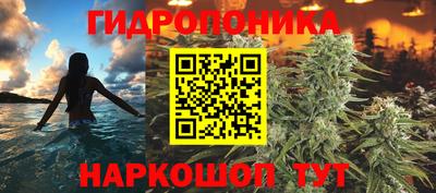 ГАЛЛЮЦИНОГЕННЫЕ ГРИБЫ Гусев
