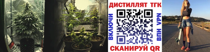 закладки  Ейск  ТГК THC oil 