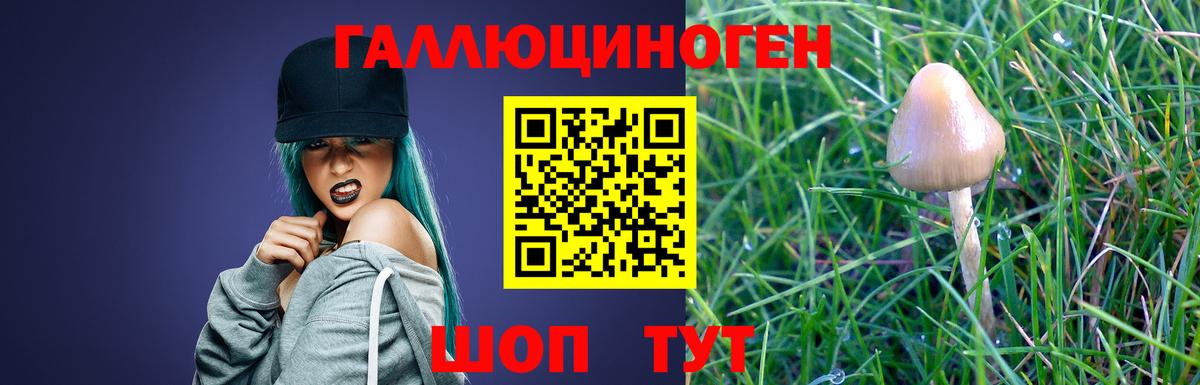 Галлюциногенные грибы Cubensis  Ейск 
