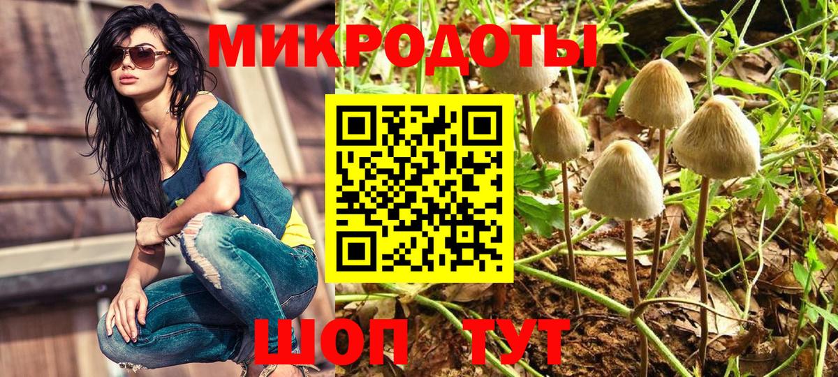 Галлюциногенные грибы Cubensis  Вход с VPN  Псилоцибиновые грибы ЛСД  Ейск 
