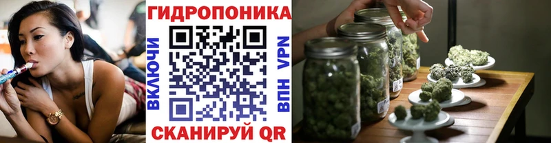Каннабис планчик  blacksprut маркетплейс  Ейск 