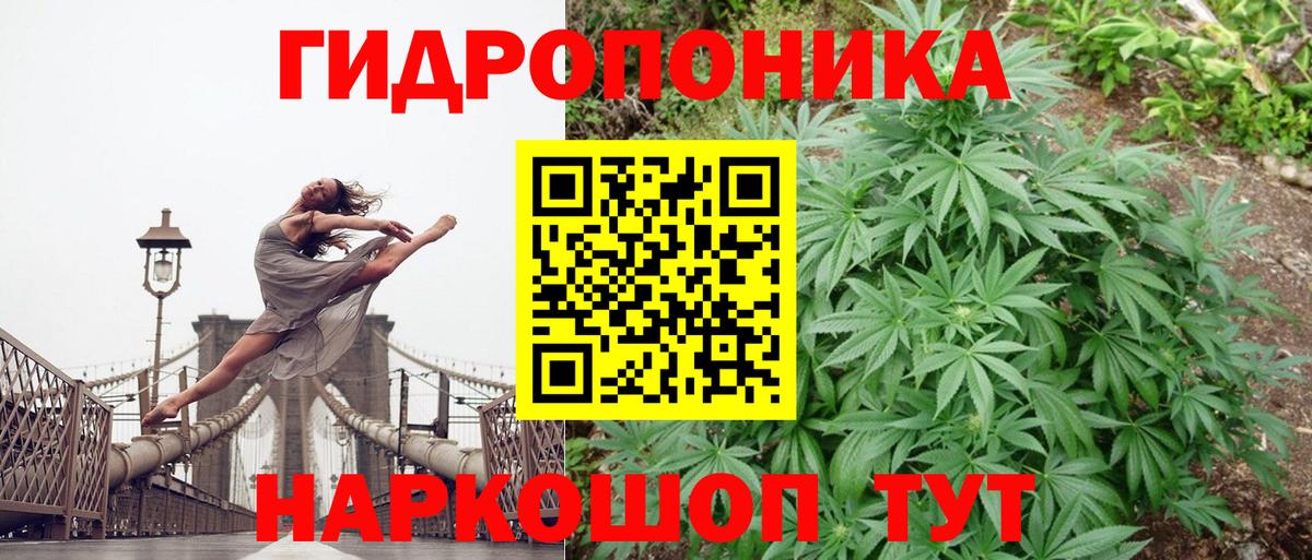 Марихуана план Ейск